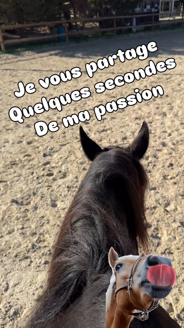 Jouissez de la vie mes amis, c’est tout ce que je vous souhaite !
Peu importe comment, chacun son style, mais lâchez vous 😃
#Jekiffemalife