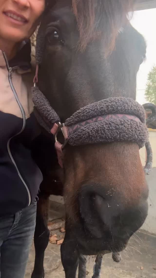 Et oui, la respiration, ce n’est pas que pour les humains ! 😊
Quand on arrive, à l’intérieur de soi,  à induire un état de paix, on le transmet au vivant qui nous entoure. 🐴🐶🐈🐌
Je vous invite à essayer c’est stupéfiant.

👉 Dans tous les cas je vous donne rendez-vous le dimanche 16 novembre, à 17h pour une séance de Breathwork, pour le coup spécialement conçu pour les humains 😅

#breathwork