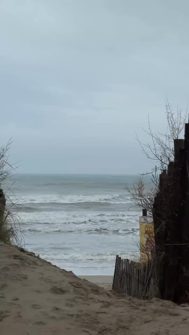 Il pleut.
Le ciel est gris.
Et sans t’en rendre compte… ton énergie descend avec.

Alors voici 4 choses très simples que tu peux faire maintenant.

1. Inspire par le nez, souffle fort par la bouche, 5 fois.
Tu relances ton système nerveux.

2. Redresse-toi. Épaules en arrière. Regarde loin.
Ton cerveau change d’état en quelques secondes.

3. Souris. Même si c’est faux.

Ton cerveau ne fait pas la différence. 

4. Bouge 60 secondes.
Même n’importe comment. Le corps recrée l’énergie.

Tu reviens à toi. Pas à la météo.

Ça, c’est la surface.

Vendredi 30 janvier à 20h, on va beaucoup plus loin.
On active cette énergie en profondeur, ensemble, lors de l’Activation Kundalini en ligne.

Si ces 4 choses t’ont déjà fait du bien… imagine la suite.

👉 https://kundalini-institut.fr/agenda-activation-en-ligne/
Ou lien dans la bio

#kundalini #energie #fatigue #pluie #bienetre #respiration