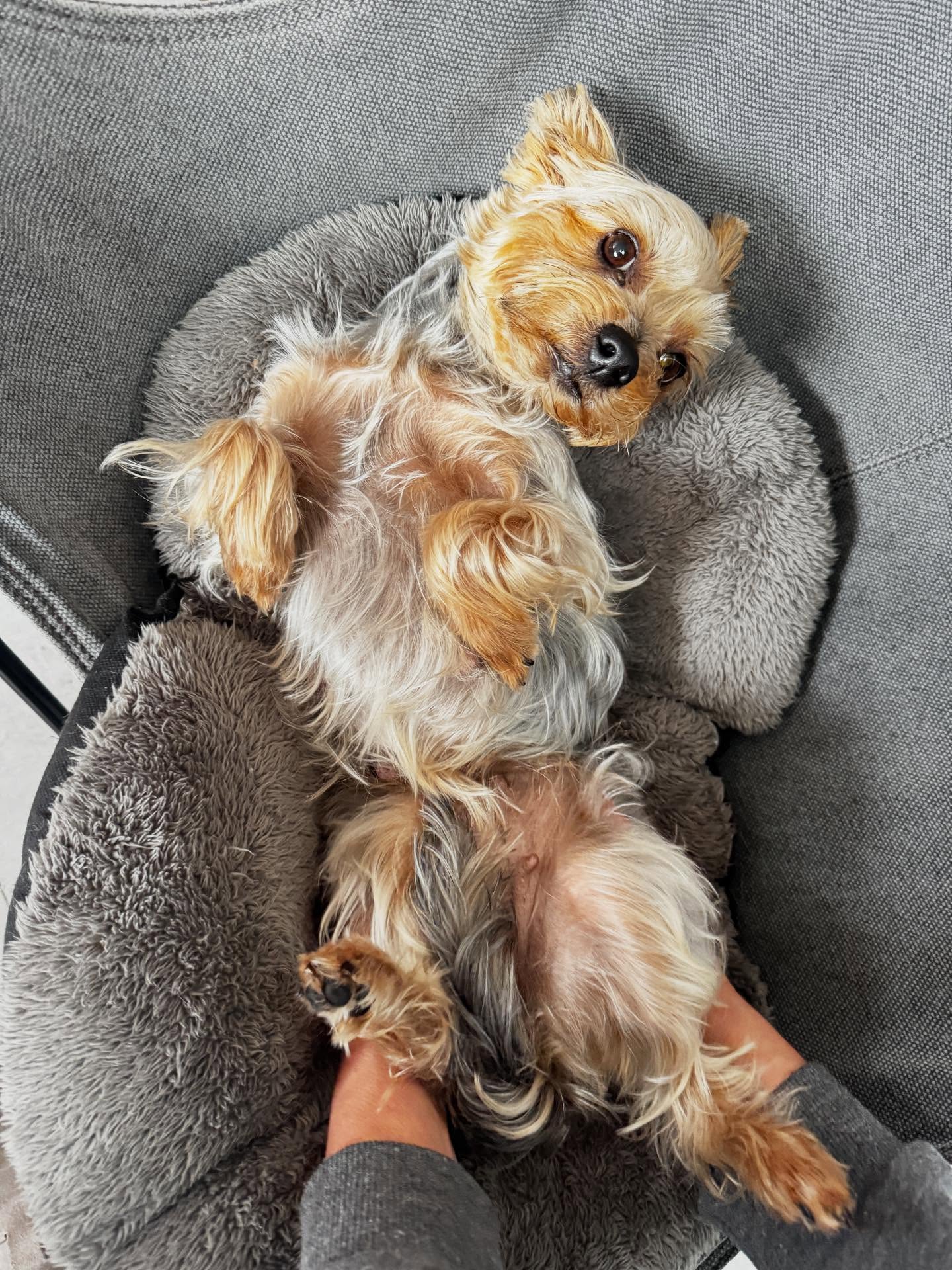 Petit massage du matin. 
Hummmm ça fait du bien! 
#sefairedubien